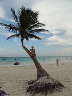 Palmboom klimmen in Mexico